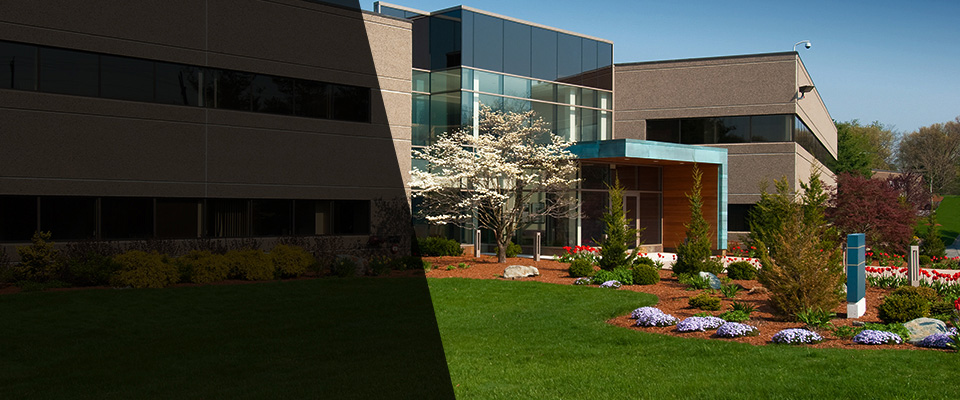 Capitol Heights Landscapers