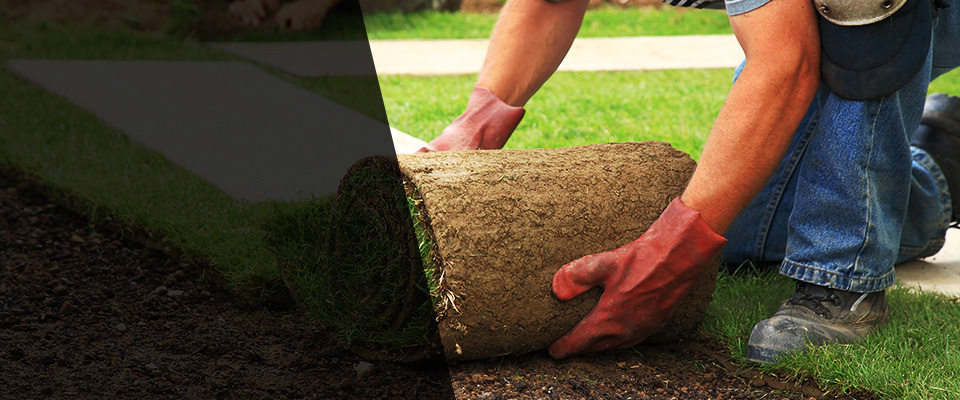 Capitol Heights Landscapers